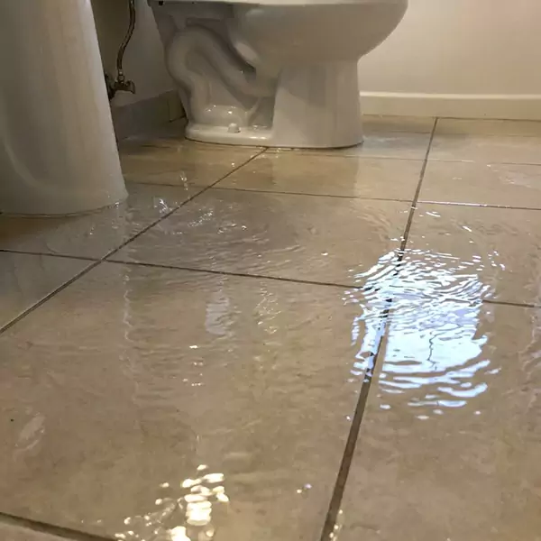 Expert Flooded Bathroom Restoration in Thousand Oaks, CA 