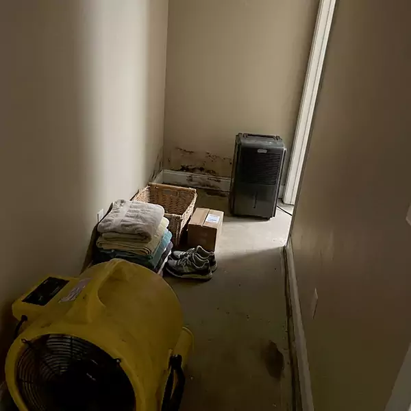 Expert Water Remediation in Thousand Oaks, CA 