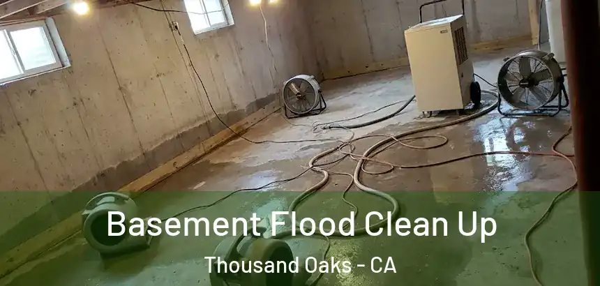  Basement Flood Clean Up Thousand Oaks - CA