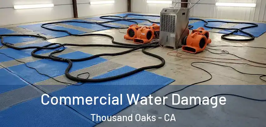  Commercial Water Damage Thousand Oaks - CA