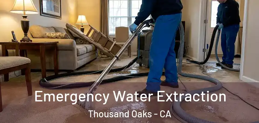  Emergency Water Extraction Thousand Oaks - CA