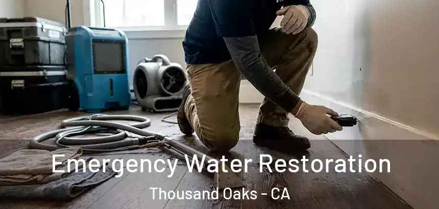  Emergency Water Restoration Thousand Oaks - CA
