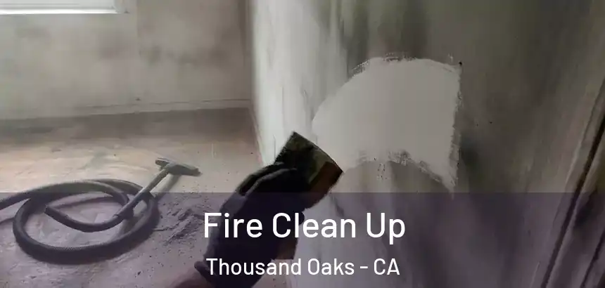  Fire Clean Up Thousand Oaks - CA