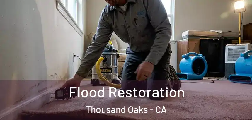  Flood Restoration Thousand Oaks - CA