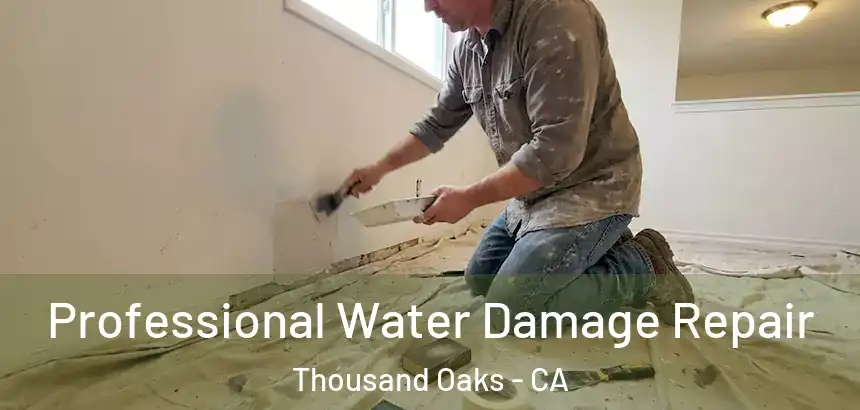  Professional Water Damage Repair Thousand Oaks - CA