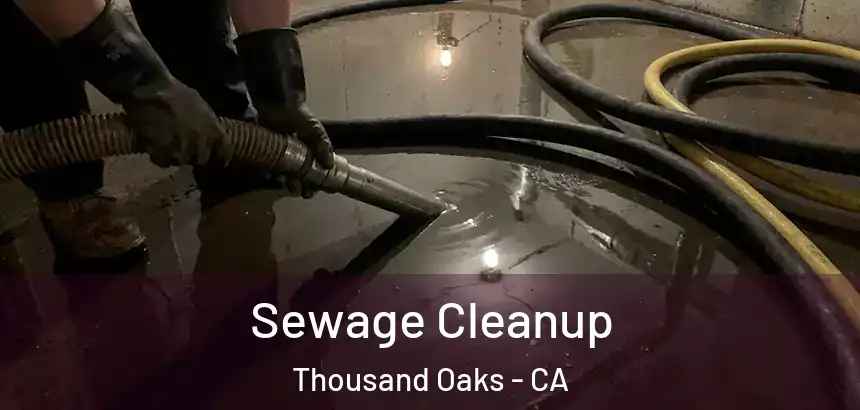  Sewage Cleanup Thousand Oaks - CA