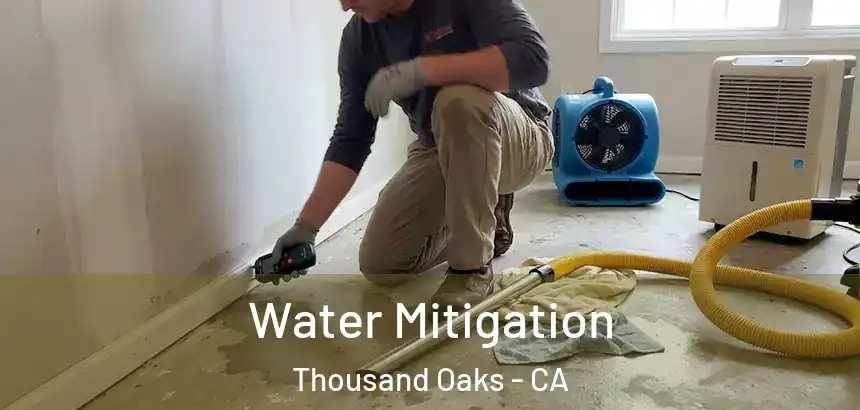  Water Mitigation Thousand Oaks - CA