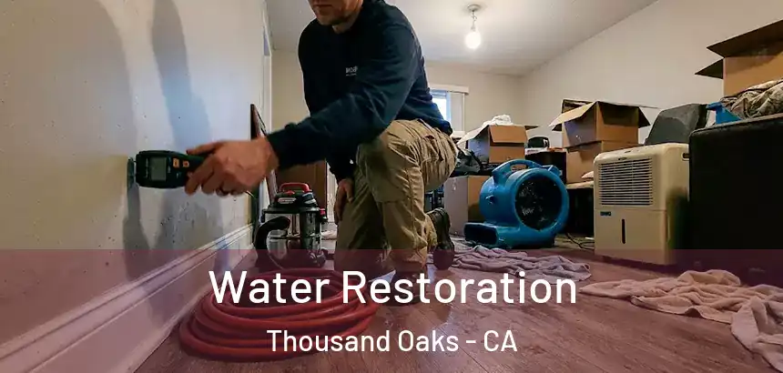  Water Restoration Thousand Oaks - CA